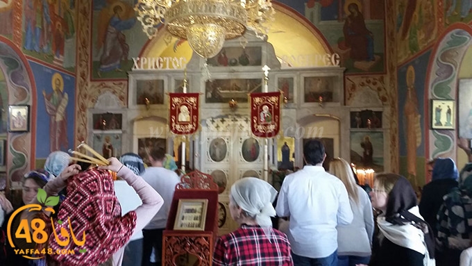 re7la shamala orth (6).jpg